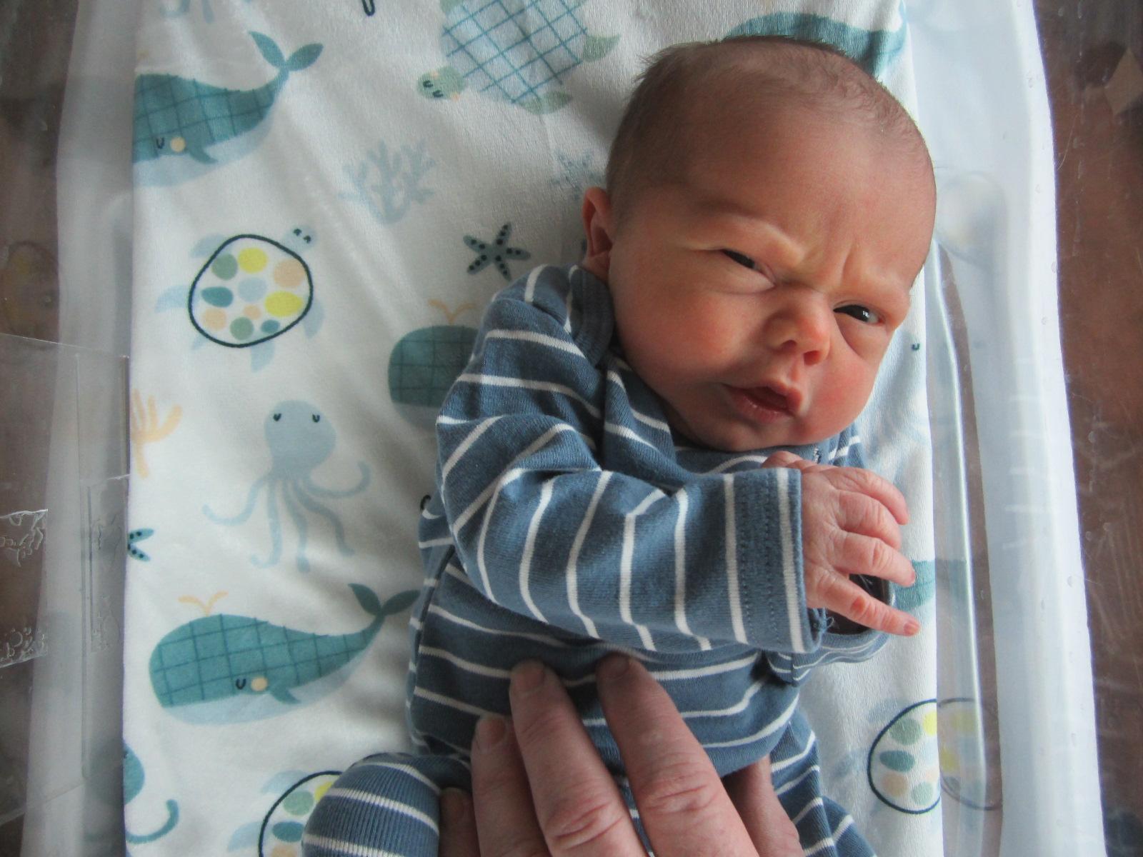 Maxwell Luke