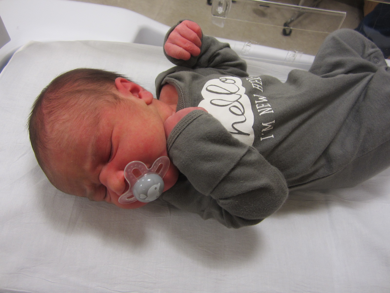 Beaudry Lou Dolly