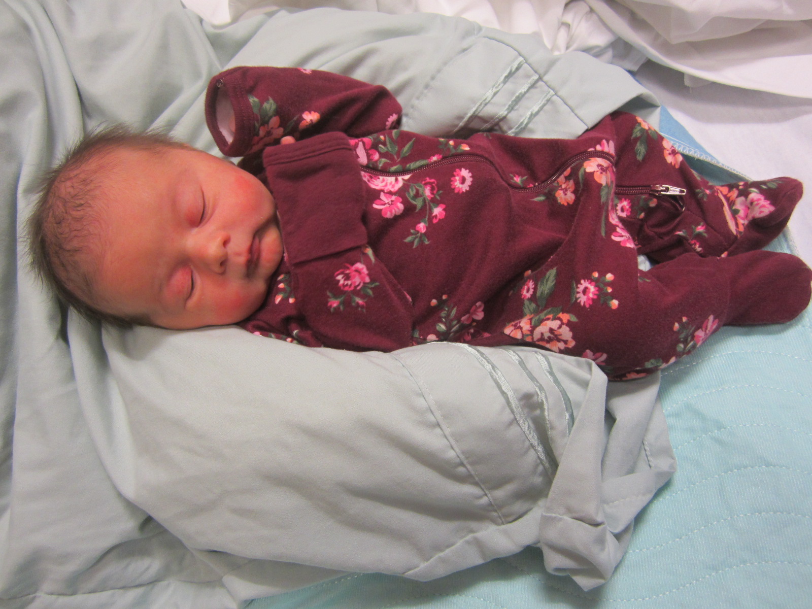 Ayva Rose