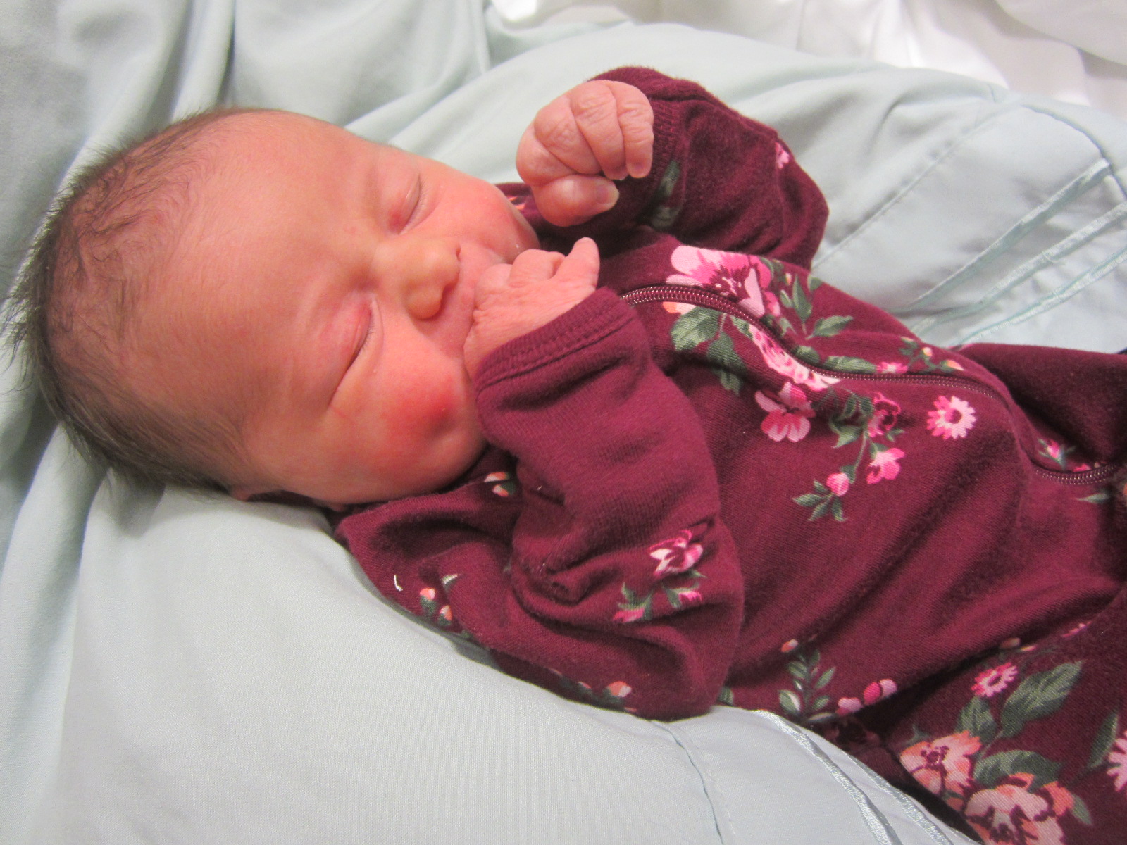 Ayva Rose