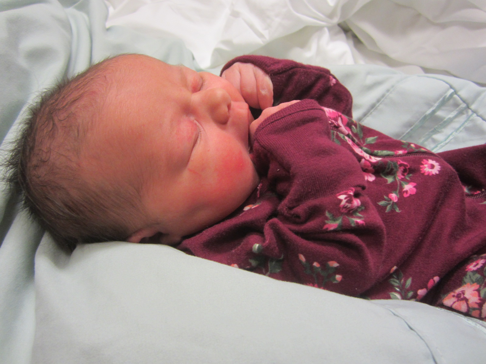 Ayva Rose