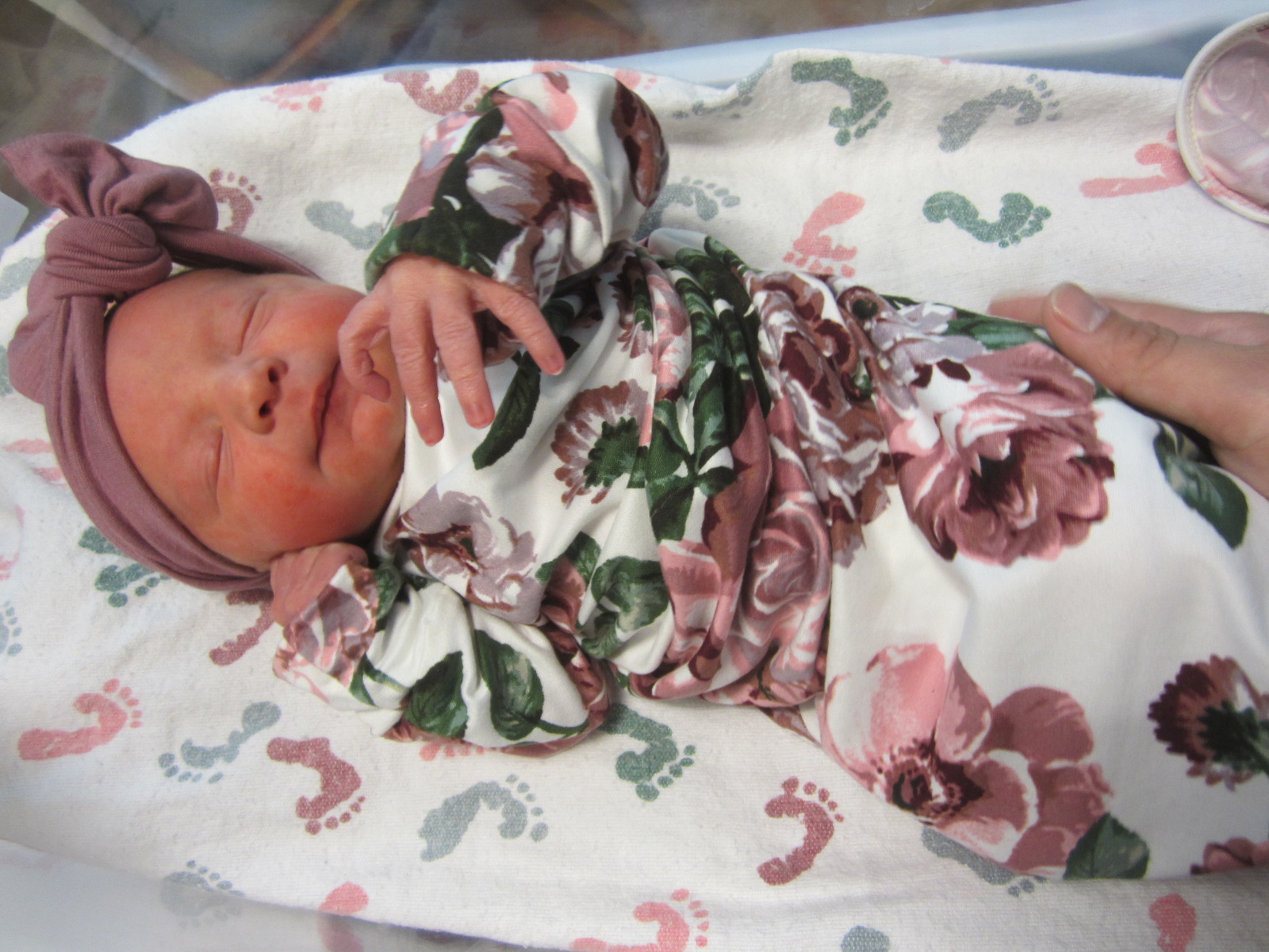  Paisley Eve