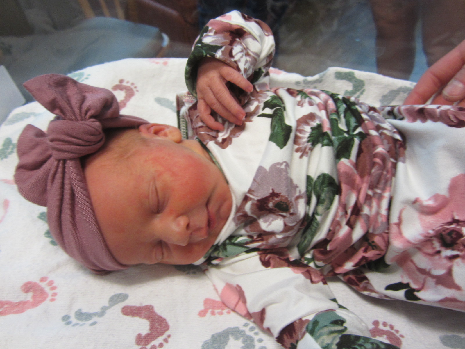  Paisley Eve