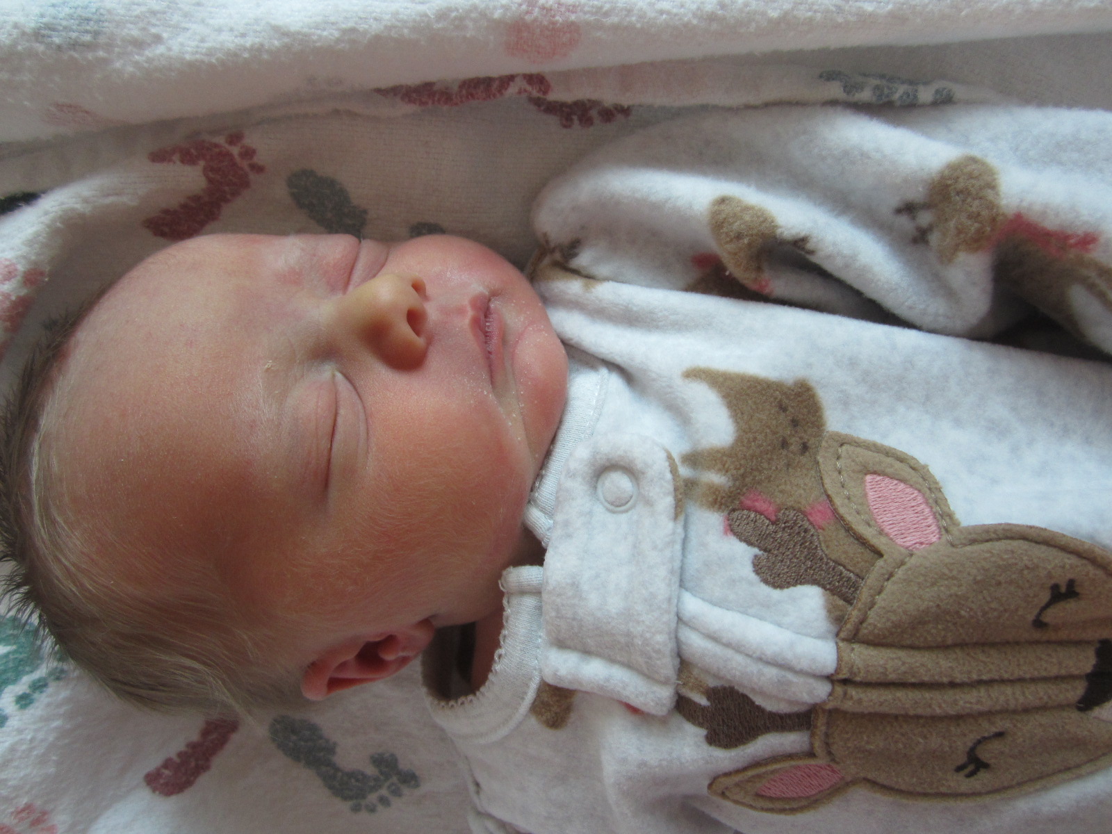 Emily Elizabeth