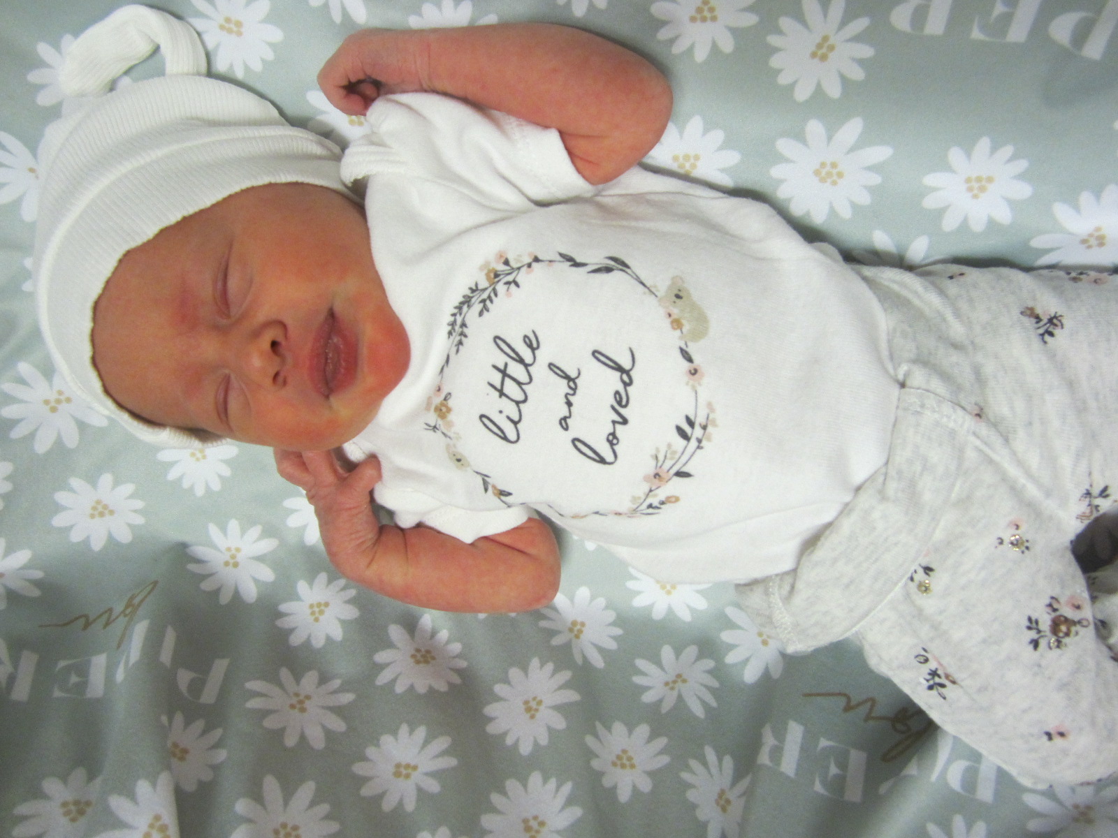 Piper Lou