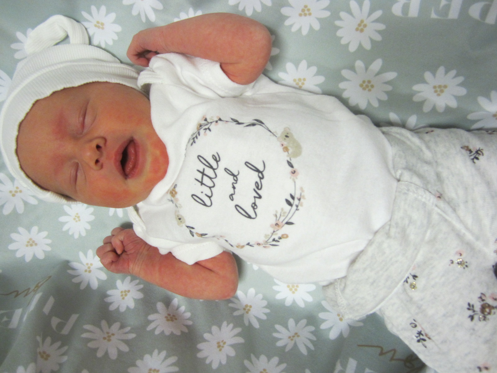 Piper Lou