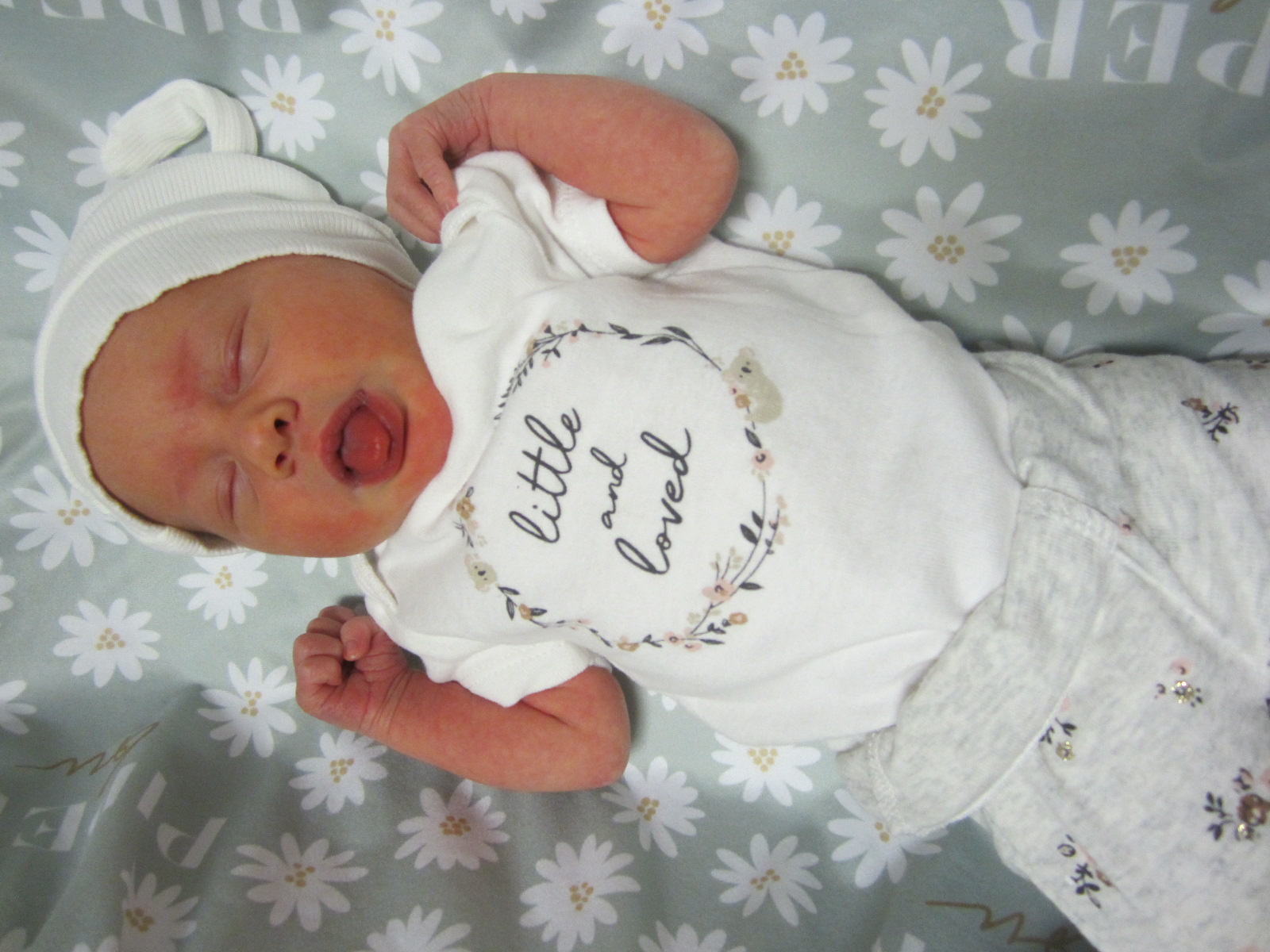 Piper Lou