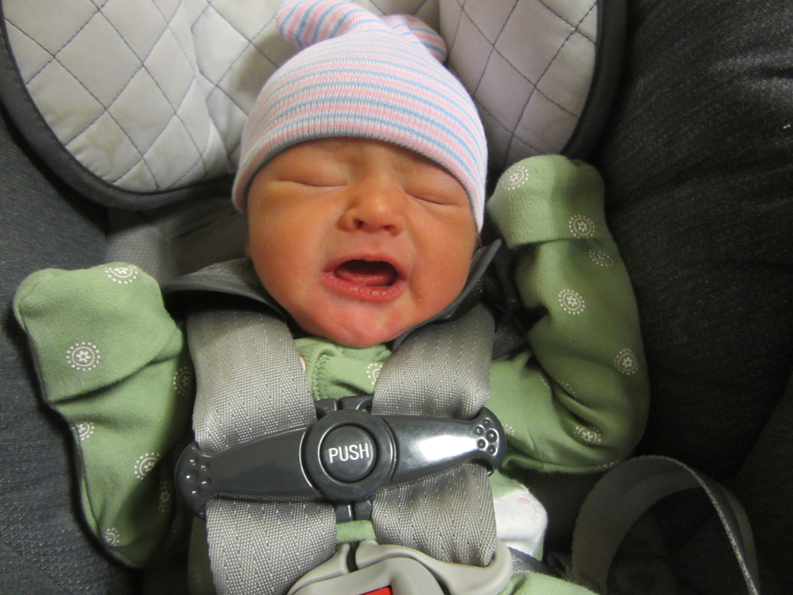 Evelyn Mey