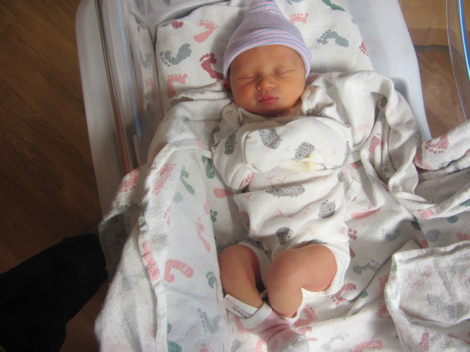 Evelyn Joy