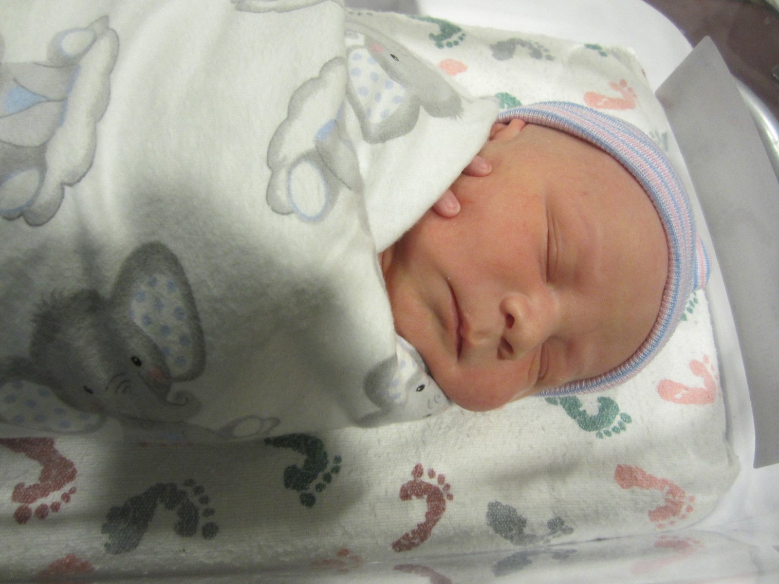 Elliott Glenn