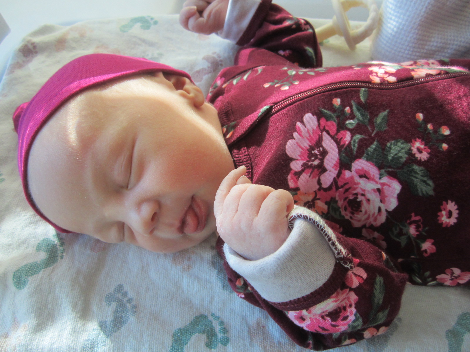 Adelaide Maryann