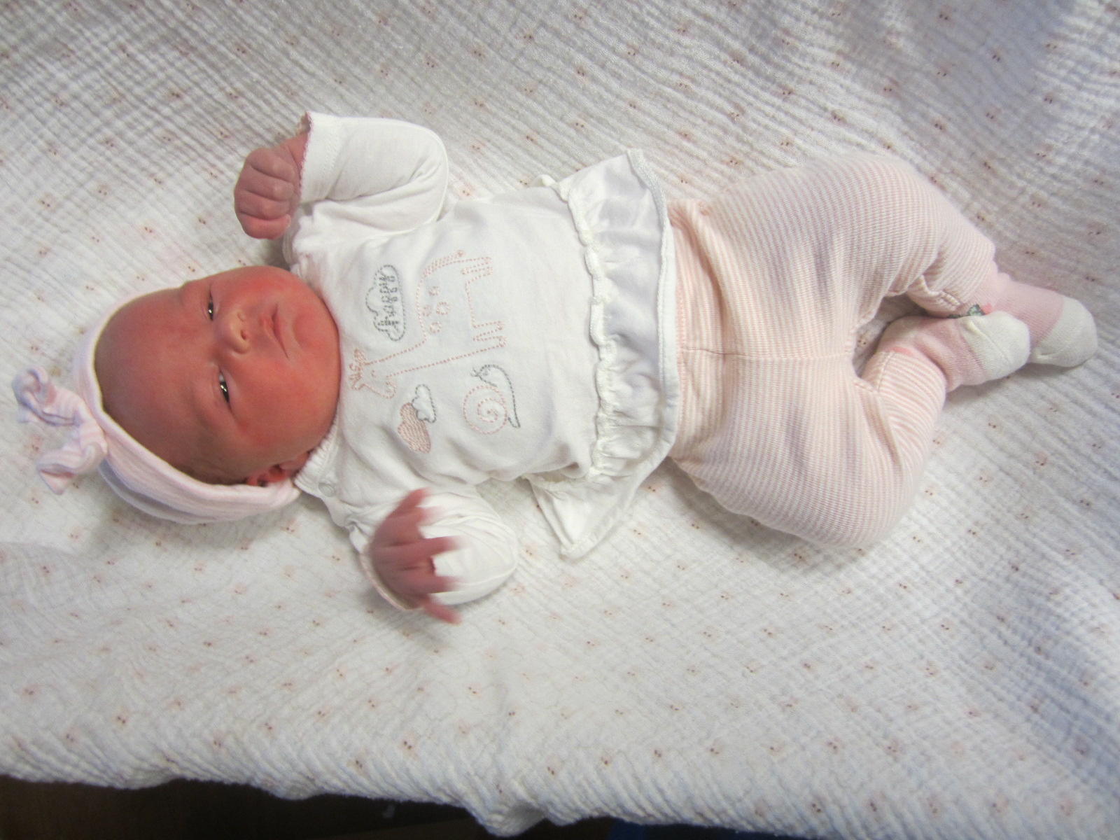 Reyna Grace