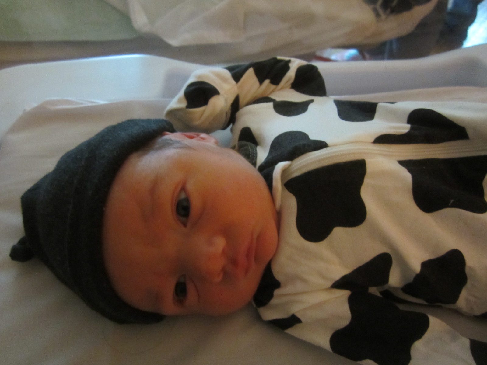 Elijah Kester