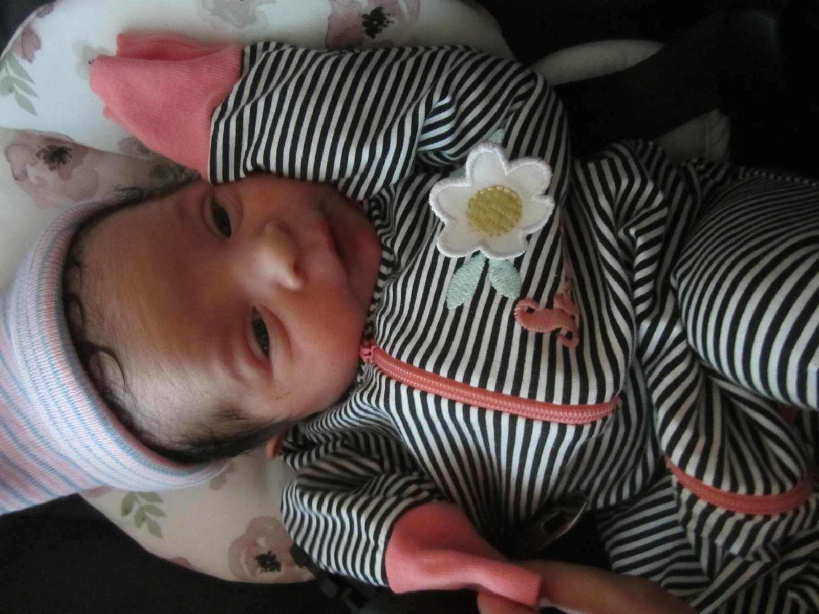 Seraya Rose Lynn