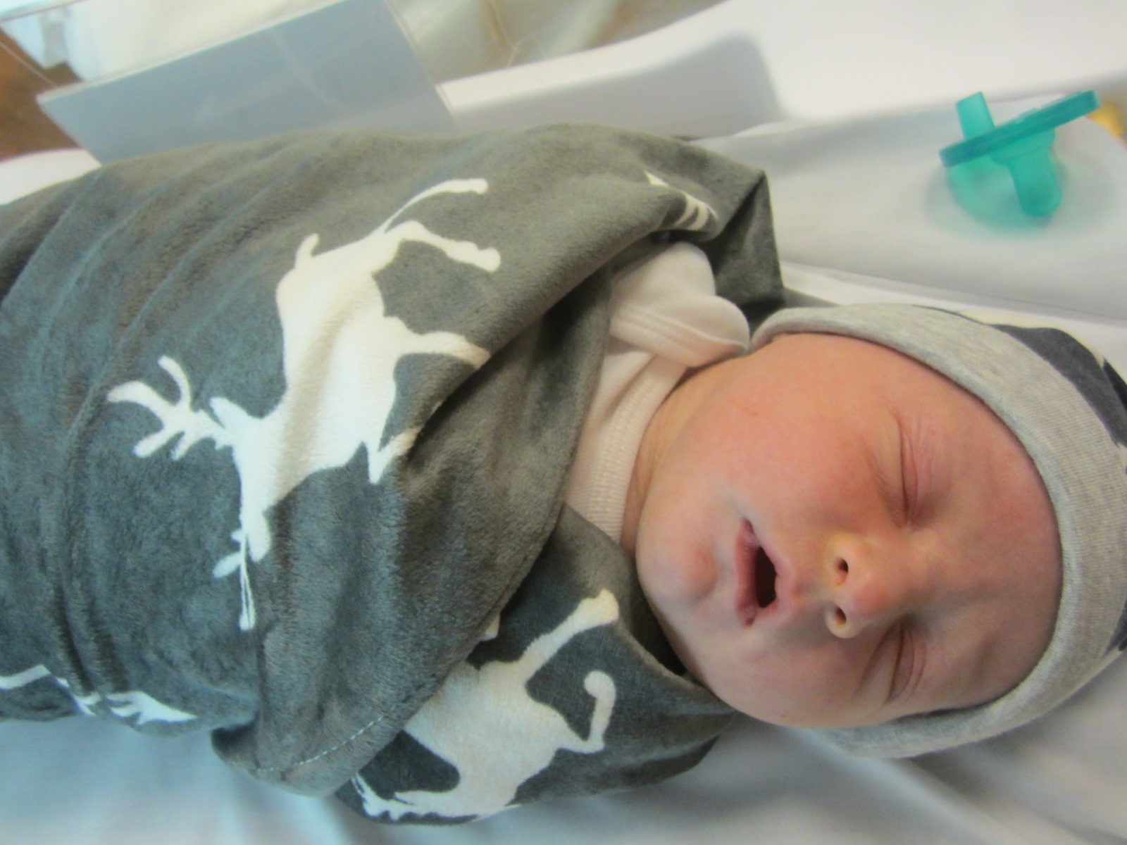 Kayden James