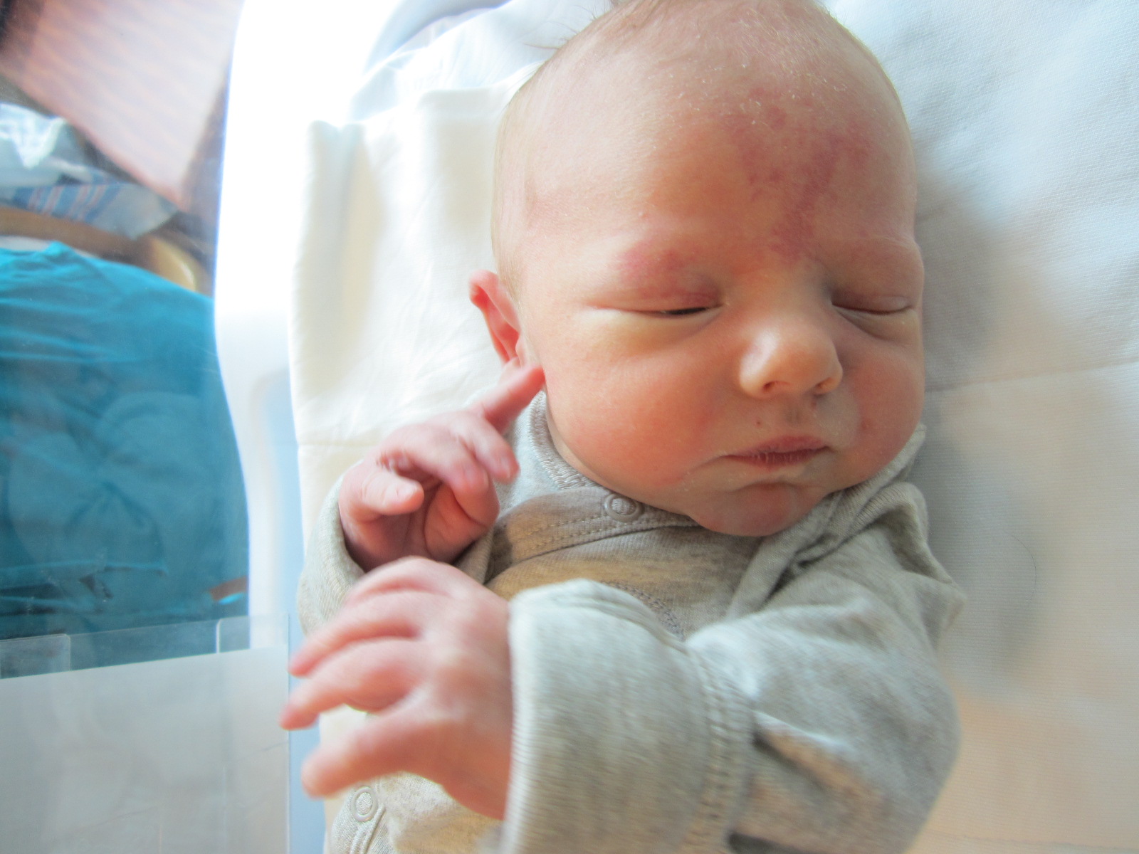 Owen James Padraig