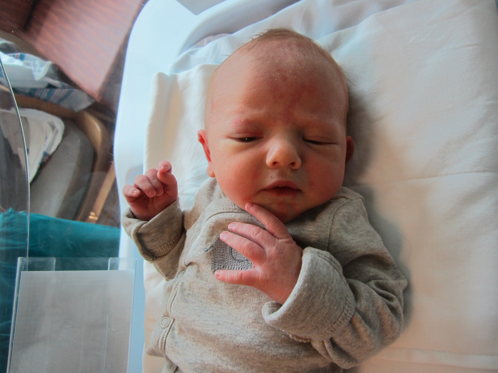 Owen James Padraig