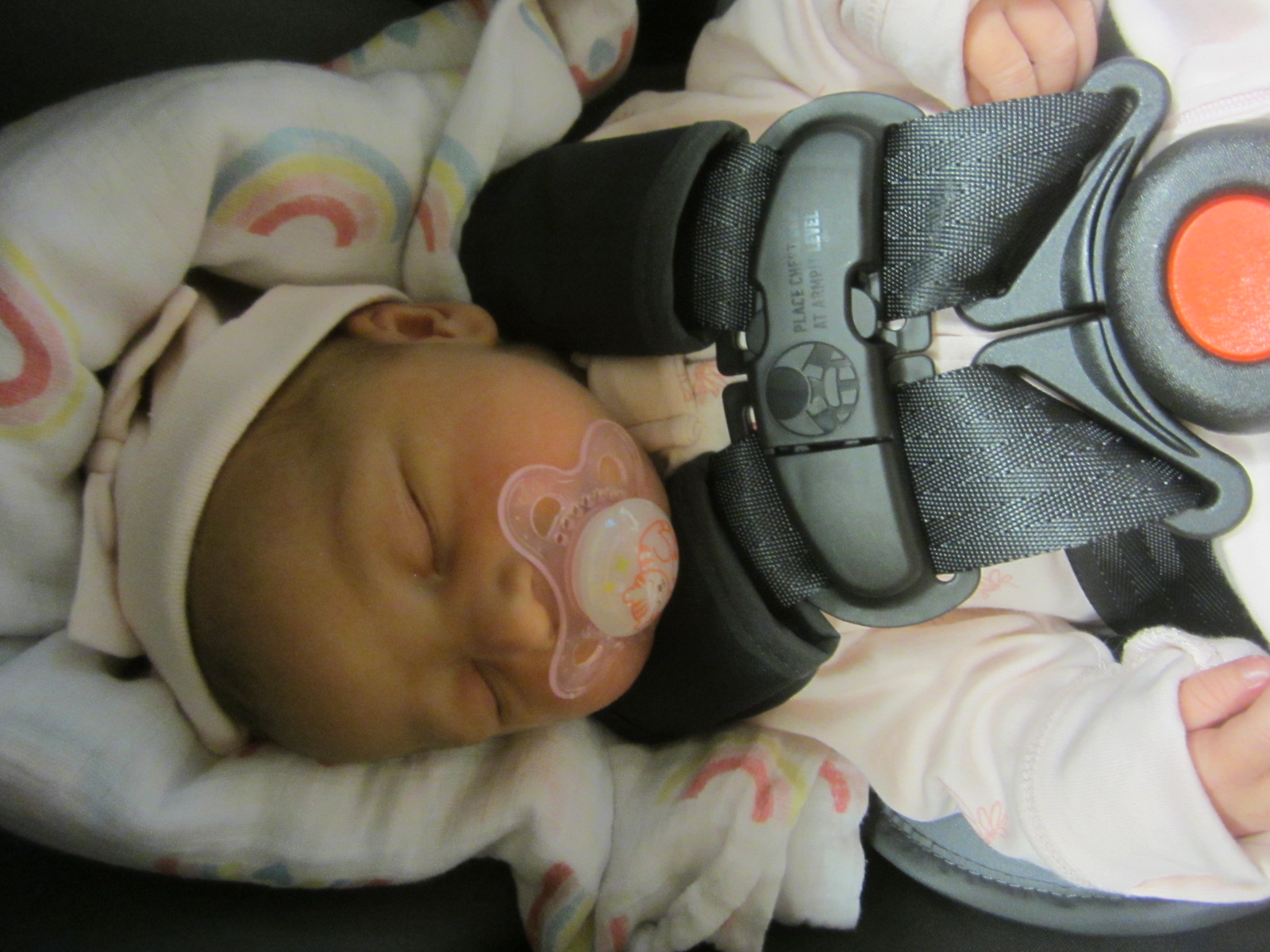 Emery Nolani