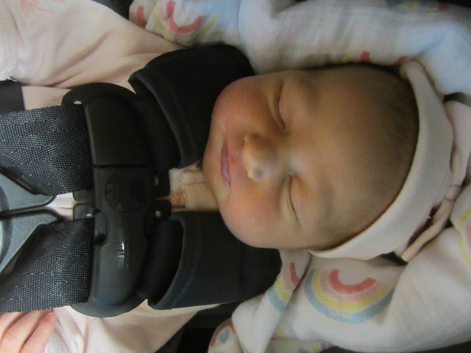 Emery Nolani