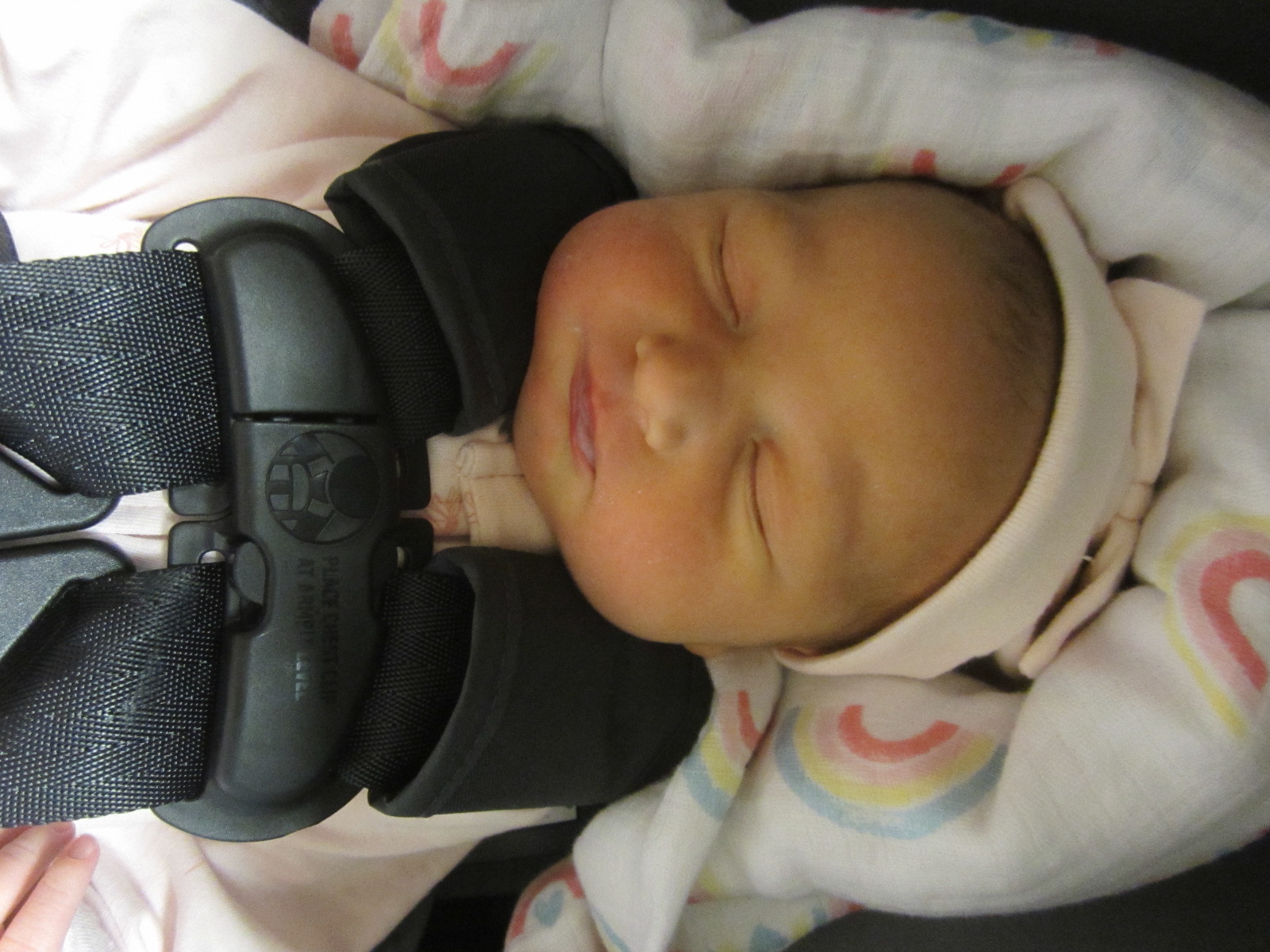 Emery Nolani