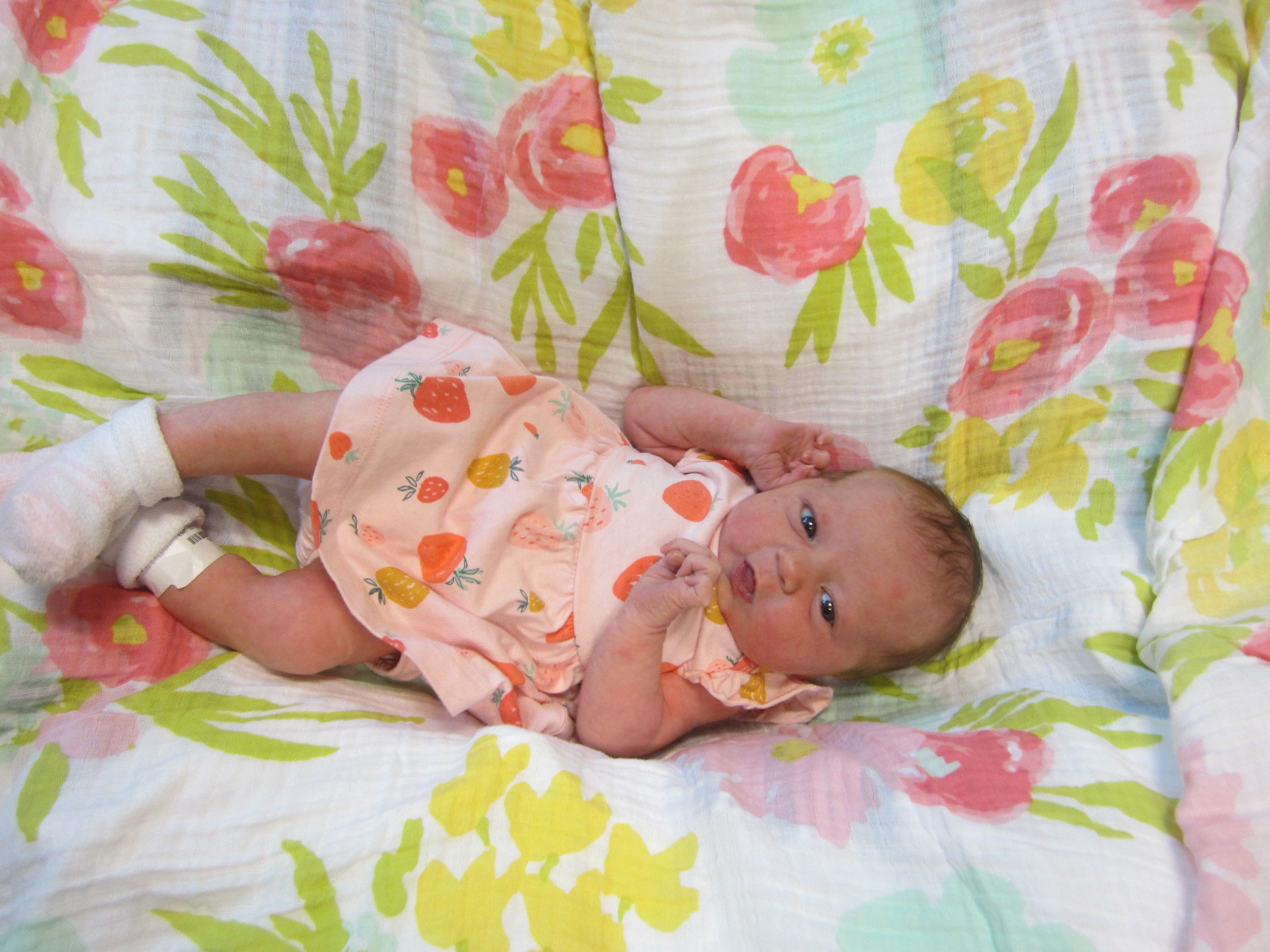 Layla Elanor 
