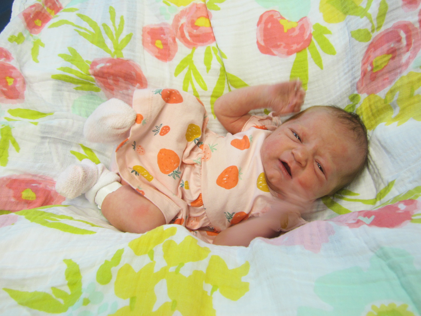 Layla Elanor 