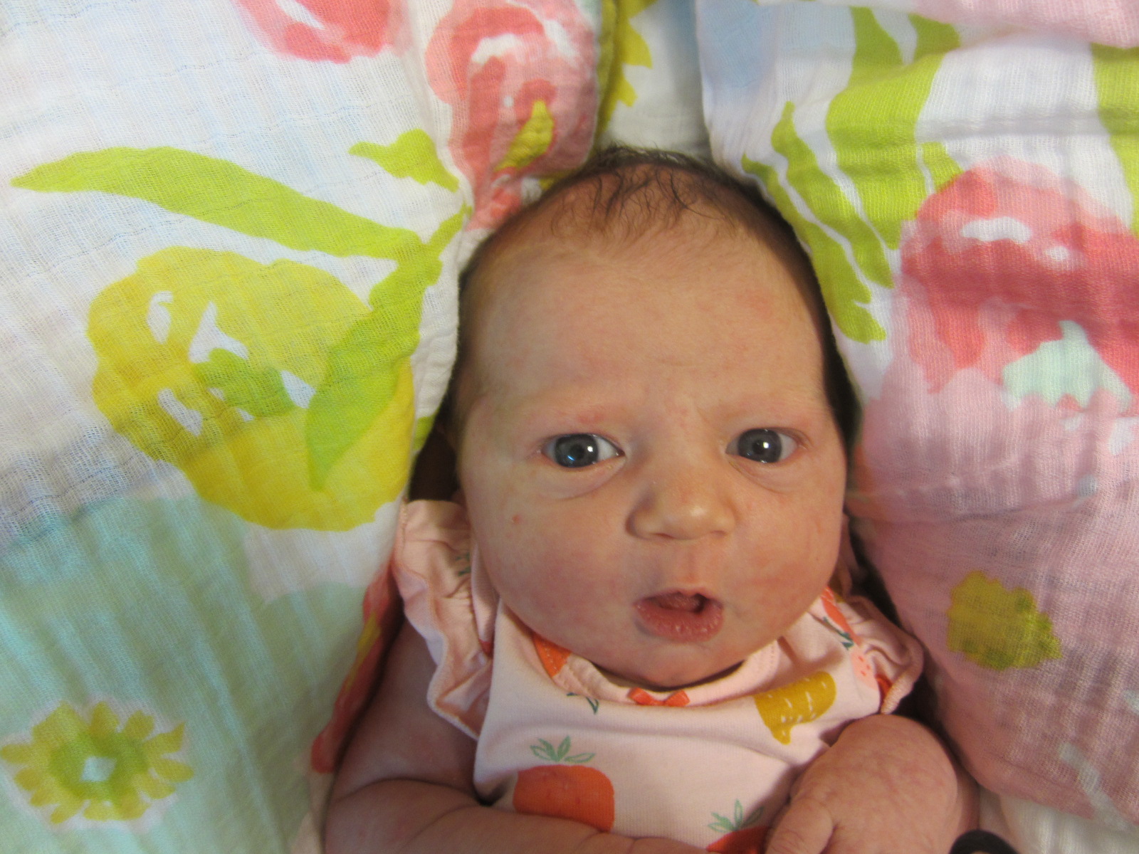 Layla Elanor 