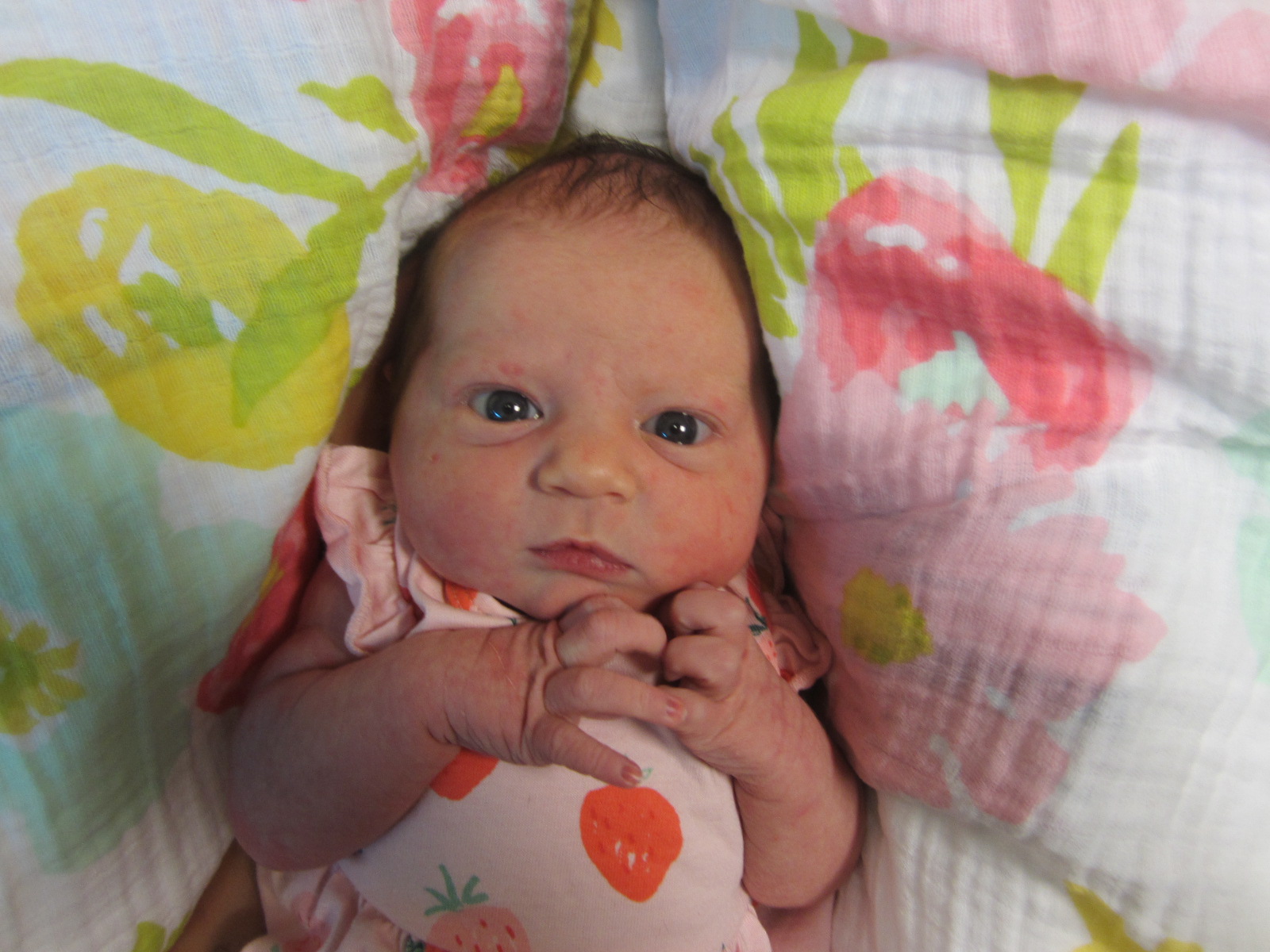 Layla Elanor 