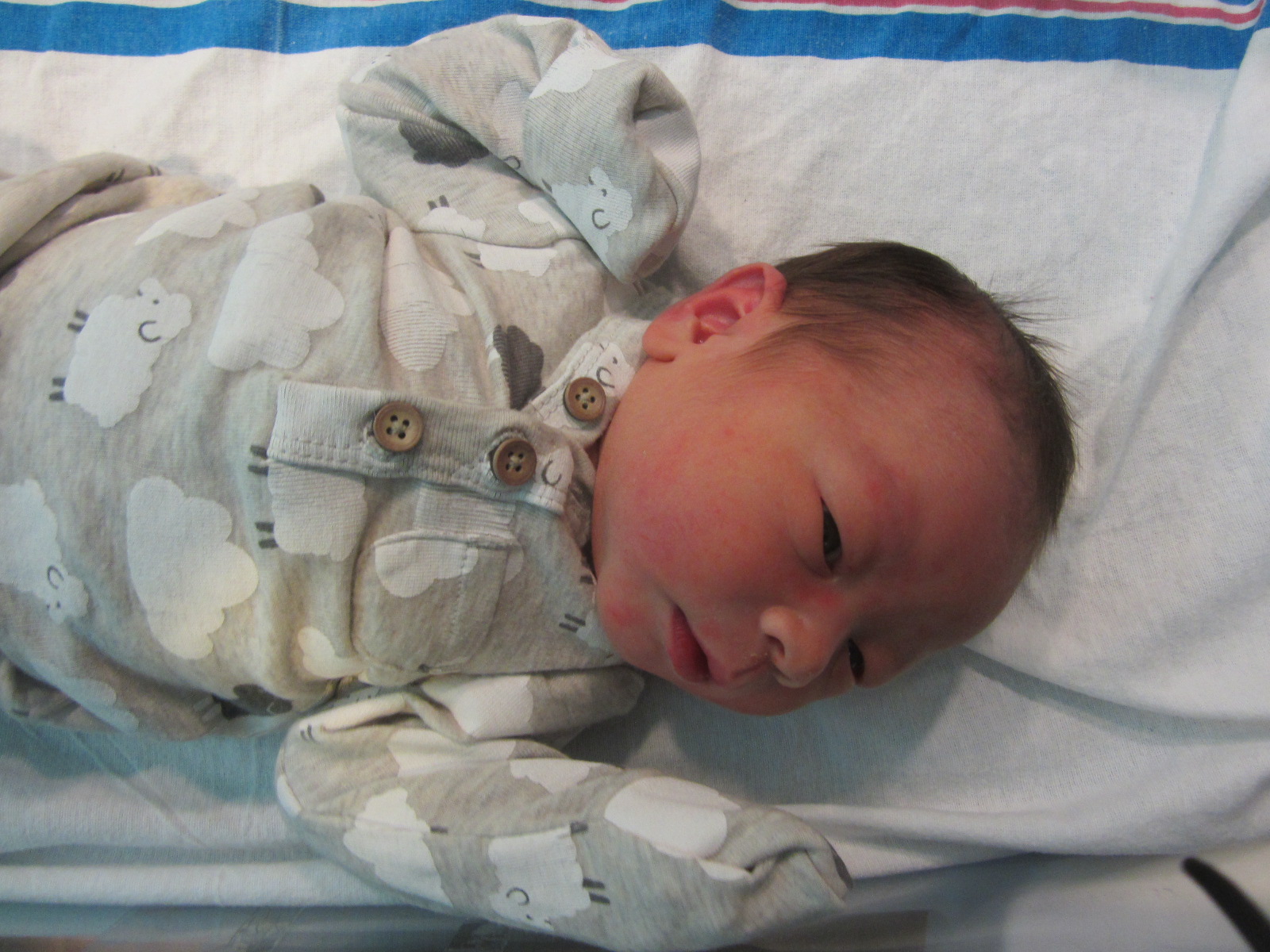 Phoenix Jihun