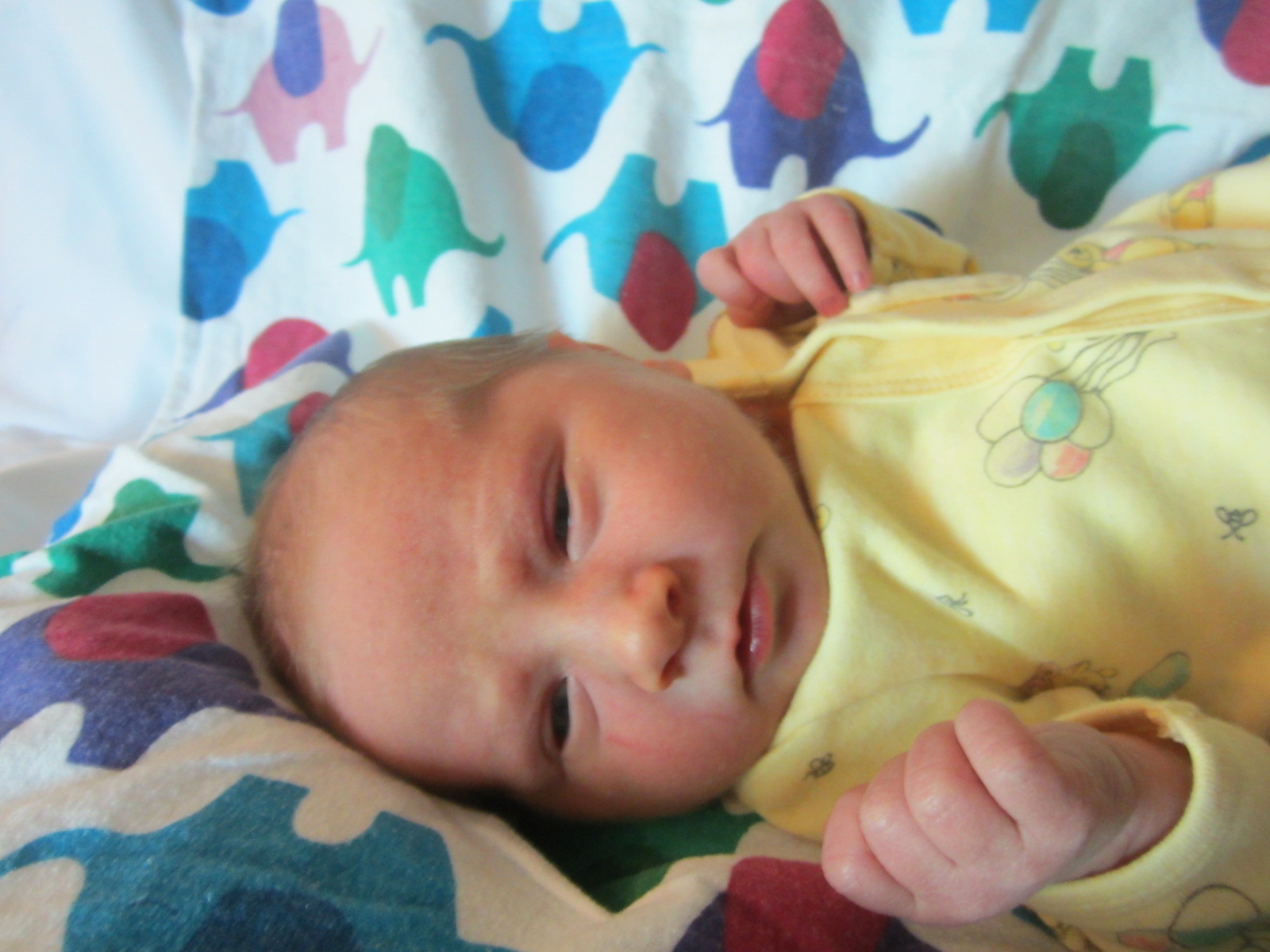 Dehklann Harrison Wesley
