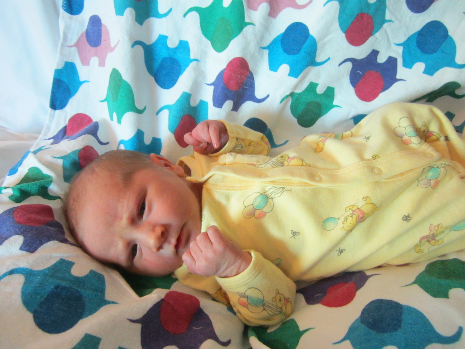 Dehklann Harrison Wesley