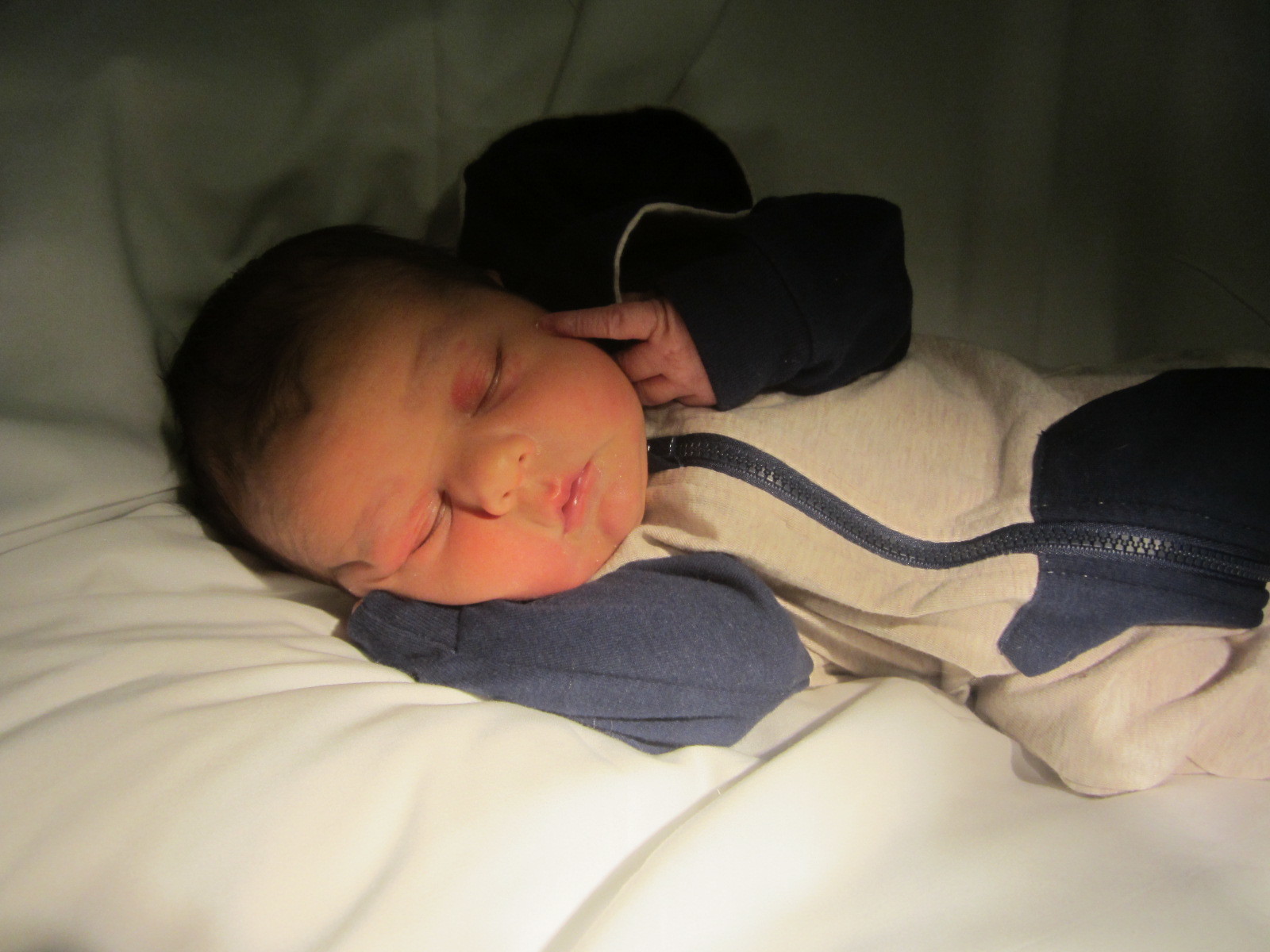 Kayden Daniel Wilson