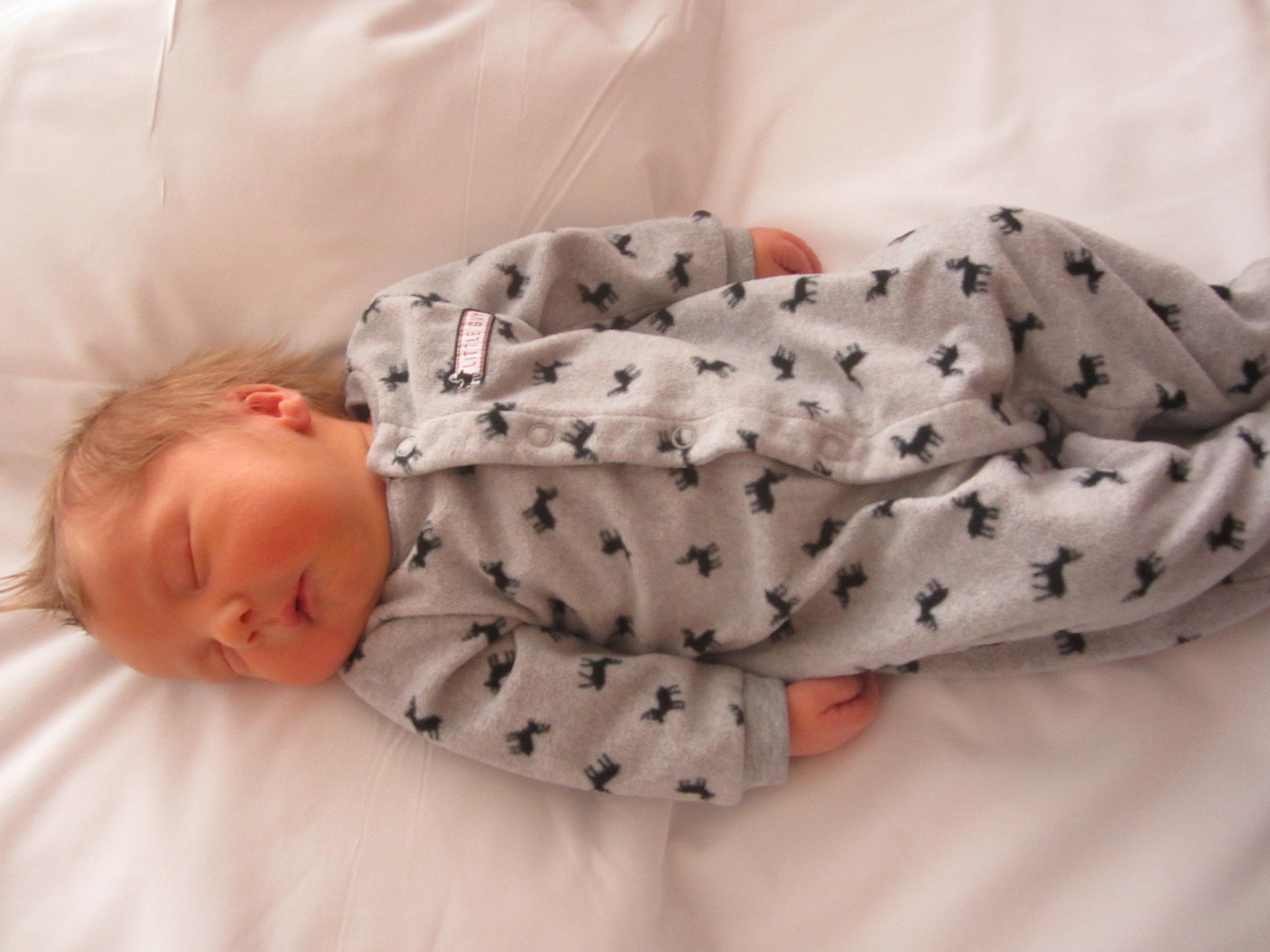Jensen James