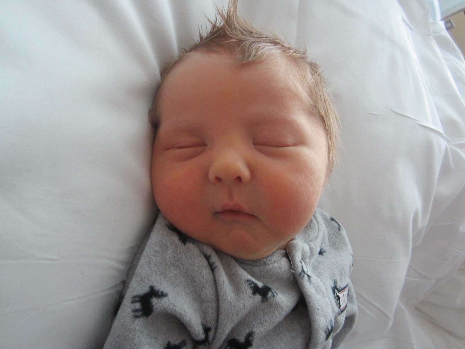 Jensen James