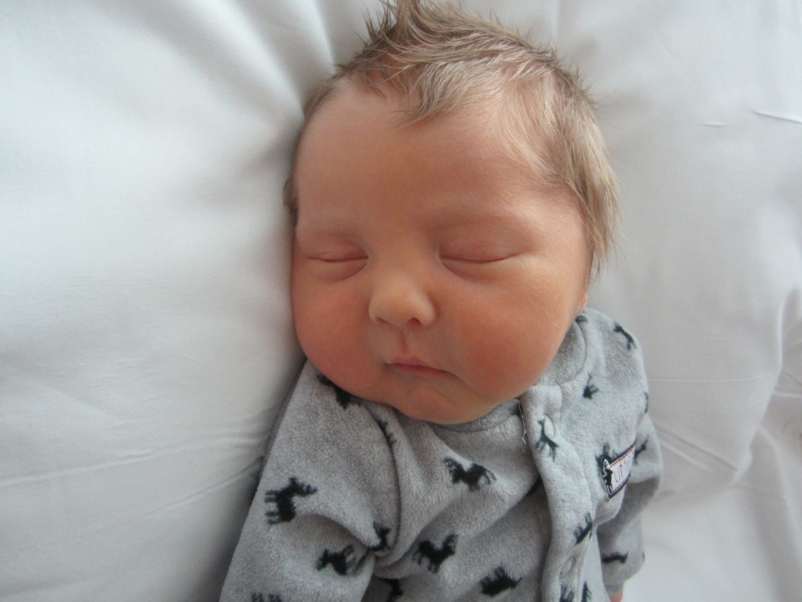 Jensen James
