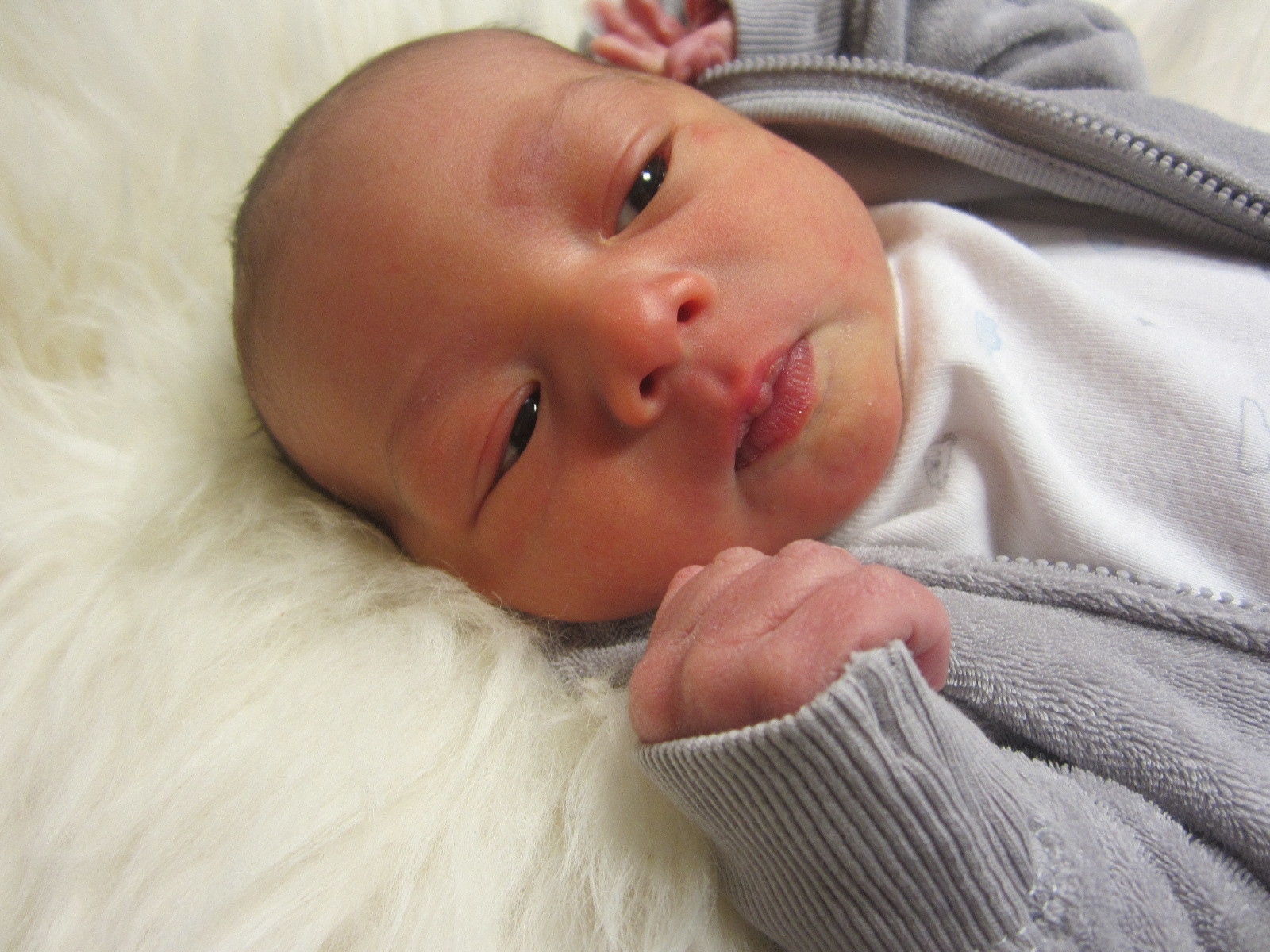 Hanalei Michael