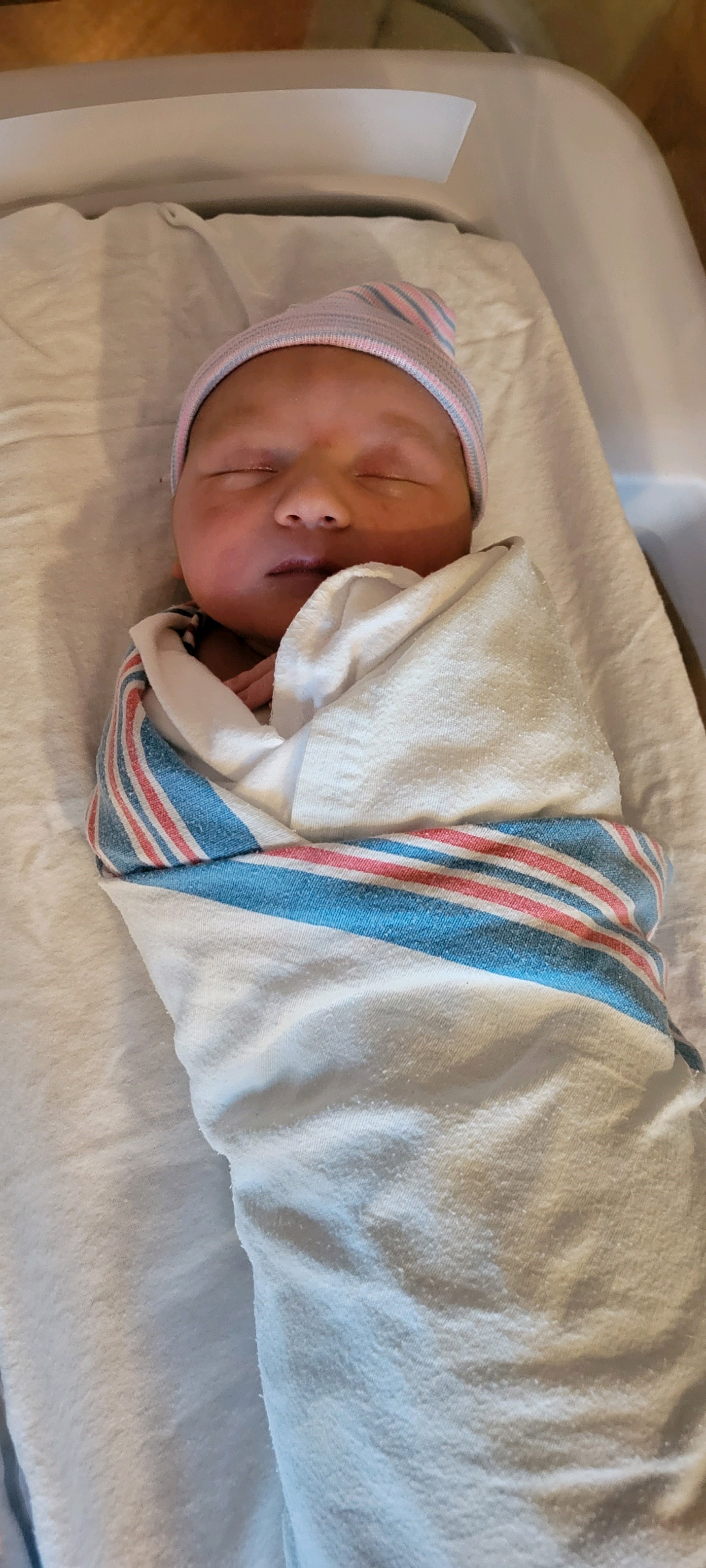 Hayden Matthew