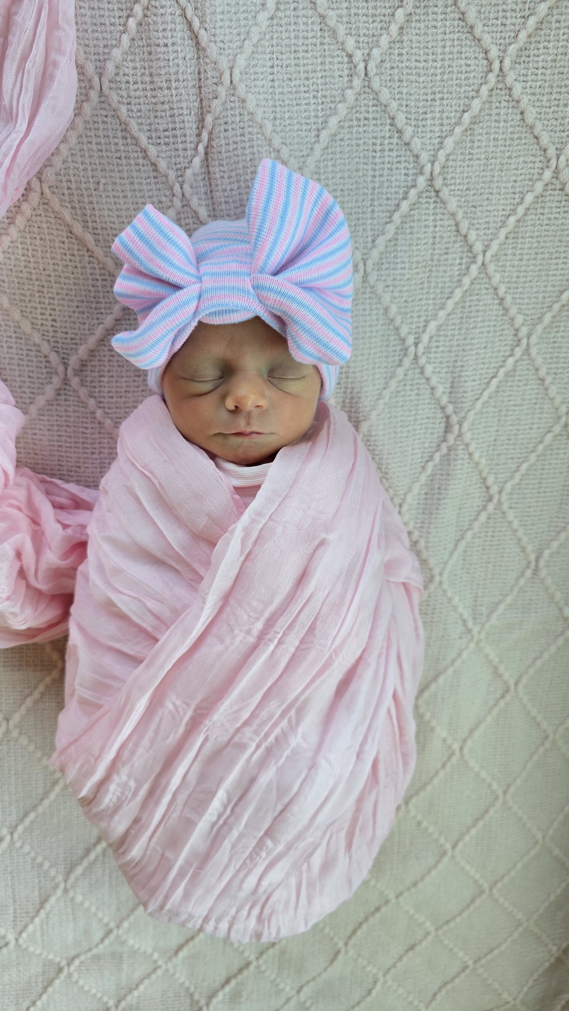Lily Sophia Rose