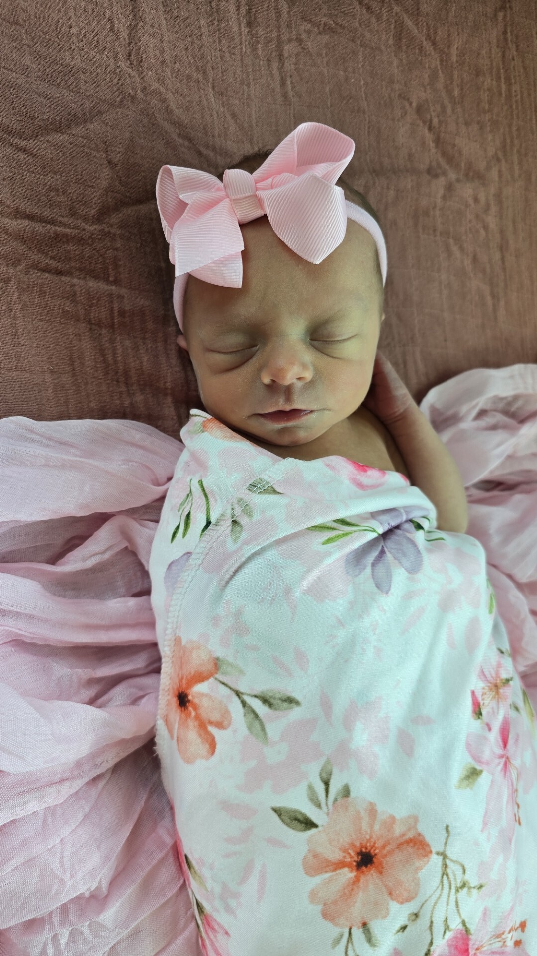 Lily Sophia Rose