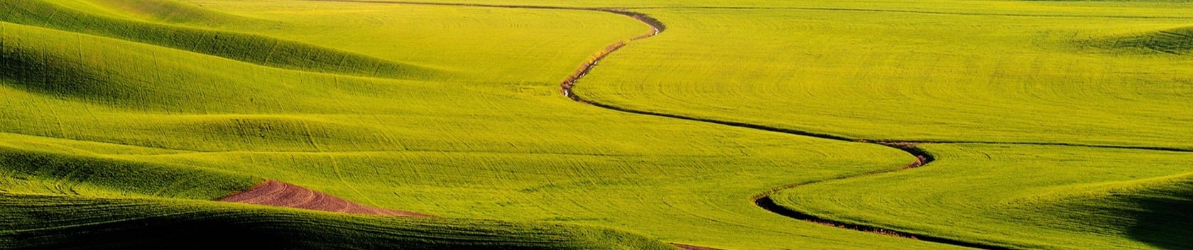 palouse-hills-1